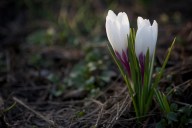 Photo © Jason Hill | Flickr