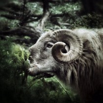 Photo © Manuel M. Almeida | Flickr