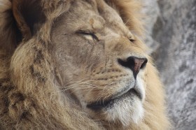 Photo ©  Julie Egeland | Flickr 