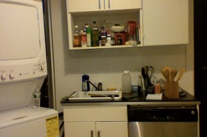 A messy workspace, just for us—with wooden spoons that it's okay to have because all the meals are gluten-free! And yes, that's a dishwasher, beloved of the neurotic and the gluten-phoboic, and a washer-dryer, which has nothing to do with gluten but is awesome.