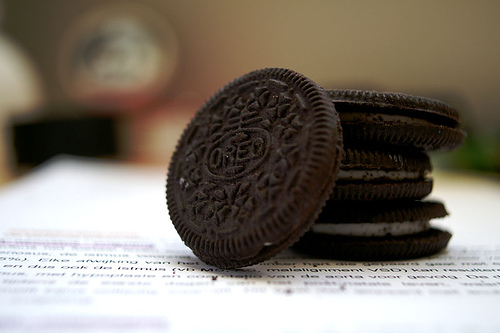 The triumphant victor Photo © Stoffel Van Eeckhoudt | Flickr